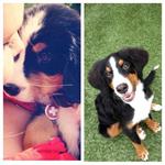 daycare pic 17 - Newman